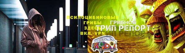 индика Бородино