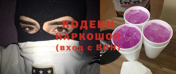 индика Бородино