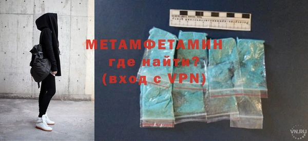 индика Бородино