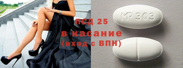 индика Бородино