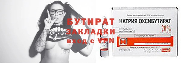 индика Бородино