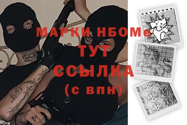 индика Бородино