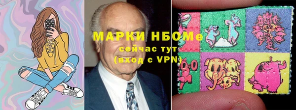 индика Бородино