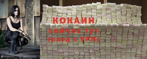 индика Бородино