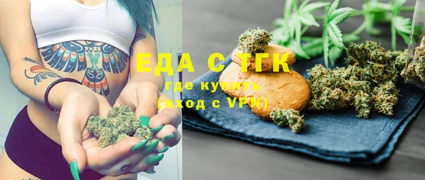 индика Бородино