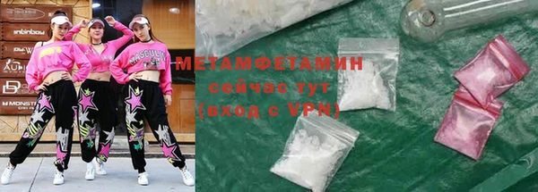 индика Бородино