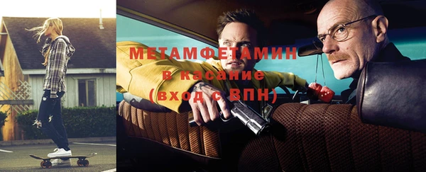 индика Бородино
