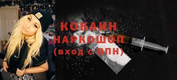 индика Бородино