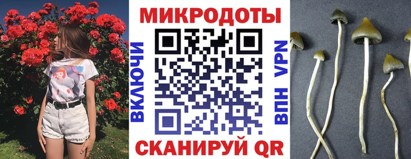 где можно купить наркотик  Кирсанов  Галлюциногенные грибы прущие грибы 